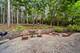 16556 Pine Hill, Homer Glen, IL 60491