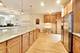 529 Chicago Unit F, Evanston, IL 60202
