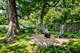 431 Oakwood, Geneva, IL 60134