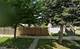 6916 S Justine, Chicago, IL 60636