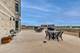 10 S Dunton Unit 703, Arlington Heights, IL 60005