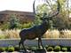 520 Biesterfield Unit 117, Elk Grove Village, IL 60007