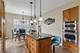 1201 Sterling, Mundelein, IL 60060