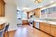 1108 S Washington, Park Ridge, IL 60068