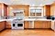 1108 S Washington, Park Ridge, IL 60068