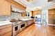 1108 S Washington, Park Ridge, IL 60068