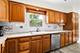 14521 S Pheasant, Homer Glen, IL 60491