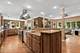 610 W Lonnquist, Mount Prospect, IL 60056
