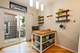 1741 N Wilmot, Chicago, IL 60647