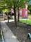 11335 S Forrestville, Chicago, IL 60628
