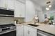 1910 S Prairie, Chicago, IL 60616