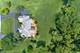 1500 Macalpin, Inverness, IL 60010