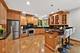 1017 E Red Oak, Addison, IL 60101
