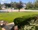 21203 Old North Church, Frankfort, IL 60423