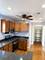 5540 N Luna Unit 2, Chicago, IL 60630