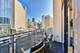 744 N Clark Unit 1005, Chicago, IL 60654