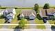 2840 Haydn, Woodstock, IL 60098