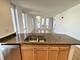 1250 S Michigan Unit 1209, Chicago, IL 60605