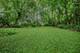 1500 Noyes, Evanston, IL 60201