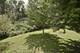 1290 Savanna, Woodstock, IL 60098
