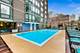21 W Goethe Unit 9E, Chicago, IL 60610