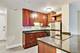 21 W Goethe Unit 9E, Chicago, IL 60610