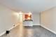 21 W Goethe Unit 9E, Chicago, IL 60610