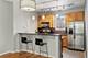 1500 S Halsted Unit 2A, Chicago, IL 60607