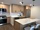 227 E Walton Unit 9W, Chicago, IL 60611