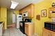 1702 Mill Unit 207, Des Plaines, IL 60016