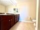 1901 S Calumet Unit 2602, Chicago, IL 60616