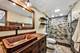 10 Elm, Hawthorn Woods, IL 60047