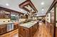 10 Elm, Hawthorn Woods, IL 60047