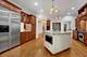 824 Shibley, Park Ridge, IL 60068