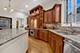 824 Shibley, Park Ridge, IL 60068