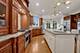 824 Shibley, Park Ridge, IL 60068