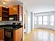 732 W Bittersweet Unit 406, Chicago, IL 60613