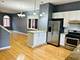 1918 S Louie, Chicago, IL 60616