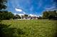 24448 Caton Farm, Plainfield, IL 60586