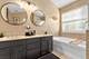 13332 Morning Mist, Plainfield, IL 60585