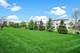 4231 Honey Locust, Naperville, IL 60564