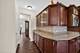 4231 Honey Locust, Naperville, IL 60564