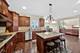4231 Honey Locust, Naperville, IL 60564