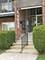 4039 Saratoga Unit C101, Downers Grove, IL 60515