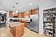 4405 S Lake Park Unit 2, Chicago, IL 60653