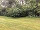 1932 Margaret, Aurora, IL 60505
