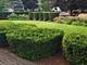 1131 Prairie, Algonquin, IL 60102