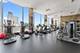 535 N Michigan Unit 909, Chicago, IL 60611