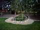 535 Chester, Aurora, IL 60504