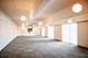16 E Old Willow Unit 206-S, Prospect Heights, IL 60070
